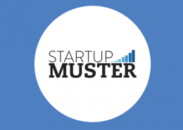 The 5 biggest insights from the startup muster 2015 report