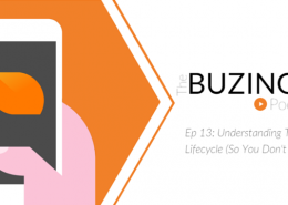 Ep 13: Understanding The Startup Lifecycle (So You Don't Die)
