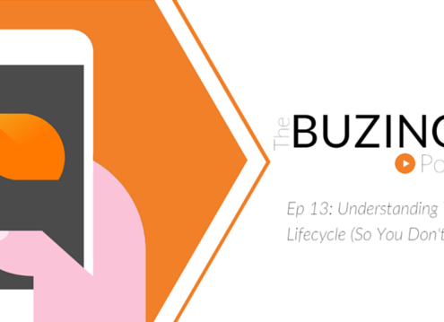 Ep 13: Understanding The Startup Lifecycle (So You Don't Die)